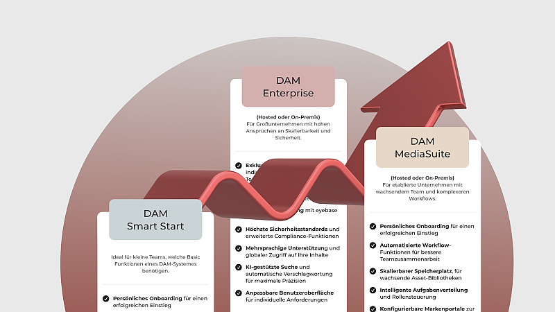 Vergleich von DAM Smart Start, MediaSuite und Enterprise nach Umfang und Skalierbarkeit