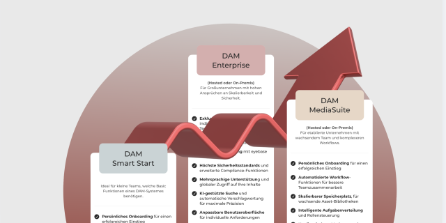 Vergleich von DAM Smart Start, MediaSuite und Enterprise nach Umfang und Skalierbarkeit