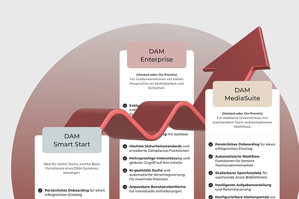 Vergleich von DAM Smart Start, MediaSuite und Enterprise nach Umfang und Skalierbarkeit
