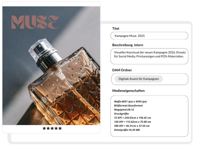 Metadaten eingeben in Bilddatenbank